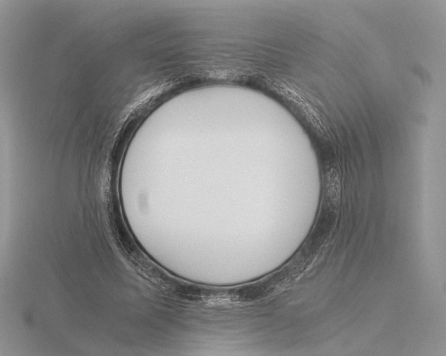 X0000115660587200912101053