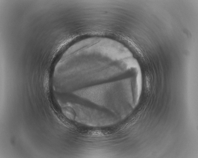 X0000115660588200912101053