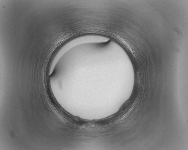 X0000115660589200912101053