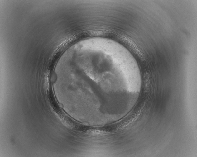 X0000115660590200912101053