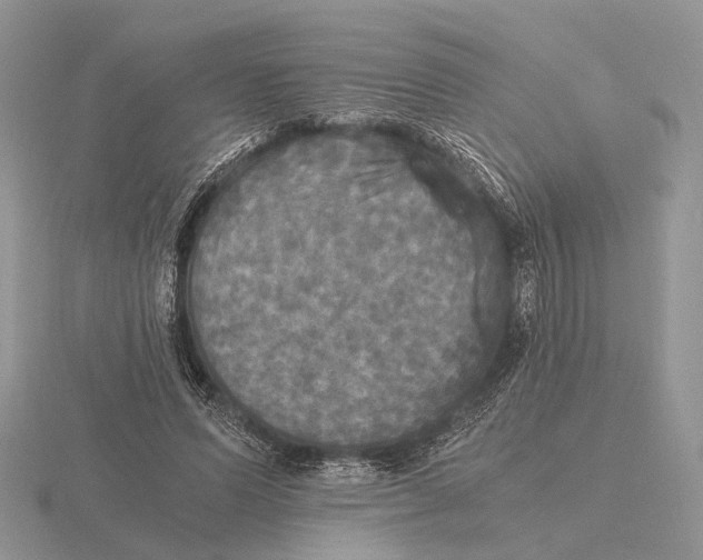 X0000115660591200912101053