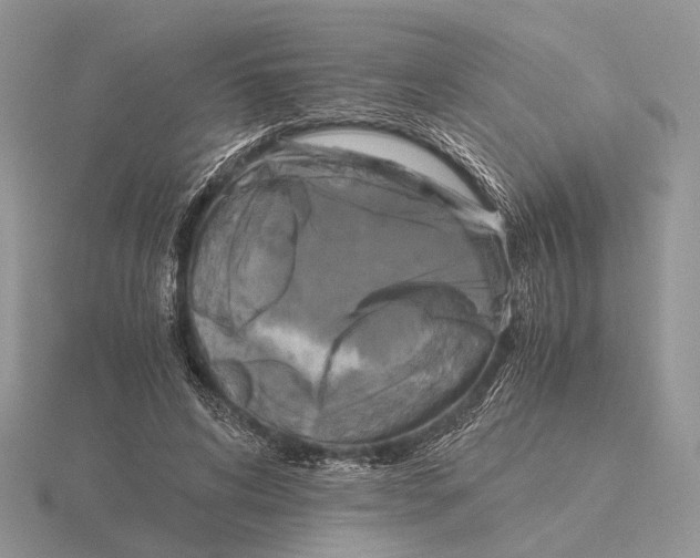 X0000115660592200912101053