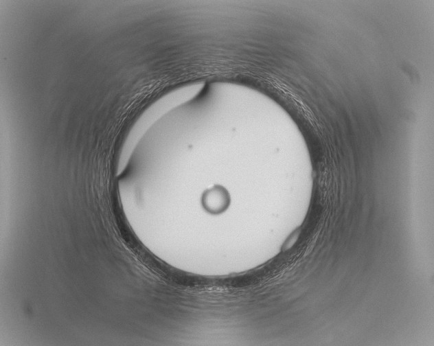 X0000115660593200912101053