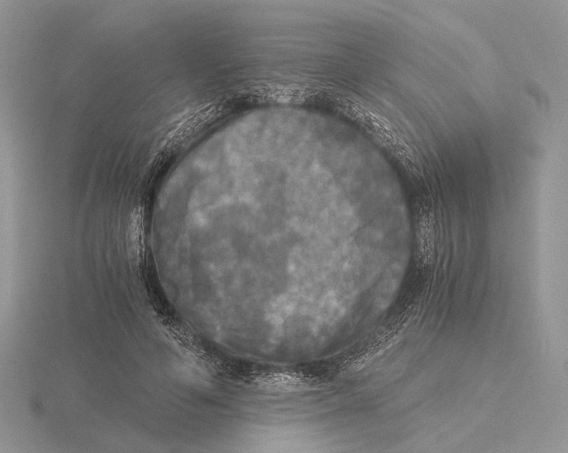 X0000115660594200912101053