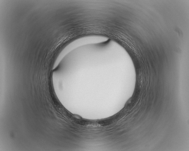 X0000115660595200912101053