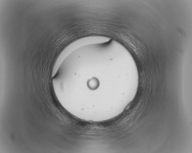 X0000115660597200912101053