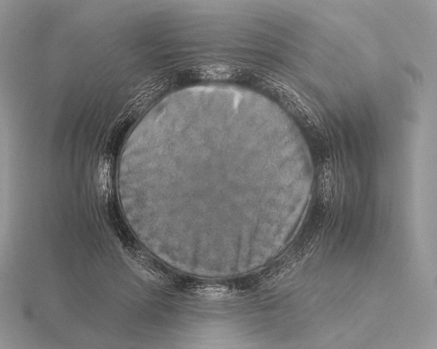 X0000115660598200912101053