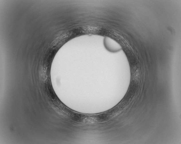 X0000115660599200912101053