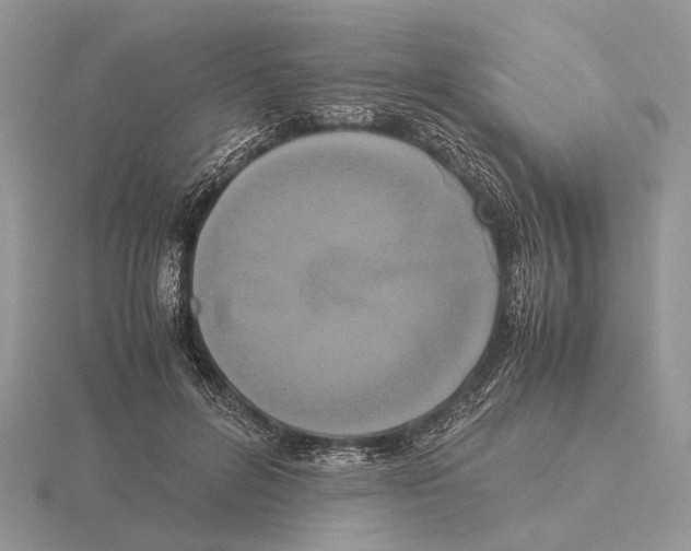 X0000115660600200912101053