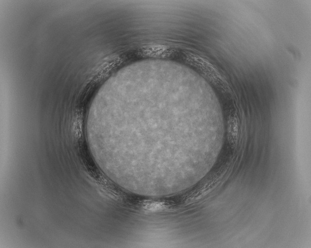 X0000115660602200912101053