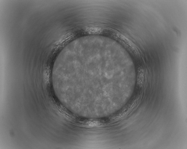 X0000115660604200912101053