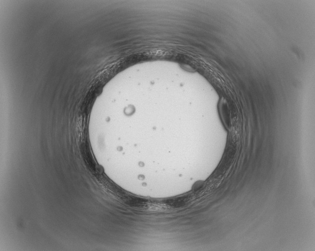 X0000115660605200912101053