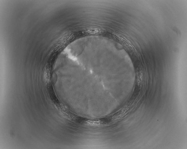 X0000115660606200912101053