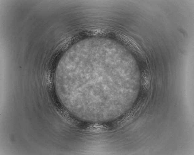 X0000115660607200912101053