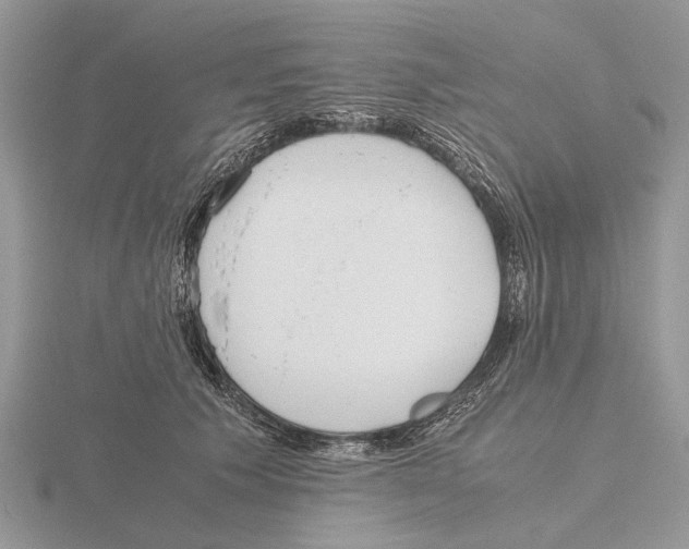 X0000115660609200912101053