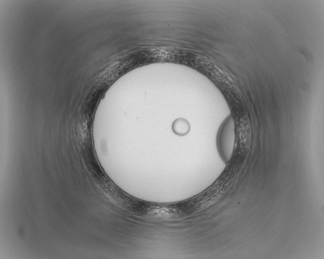 X0000115660611200912101053