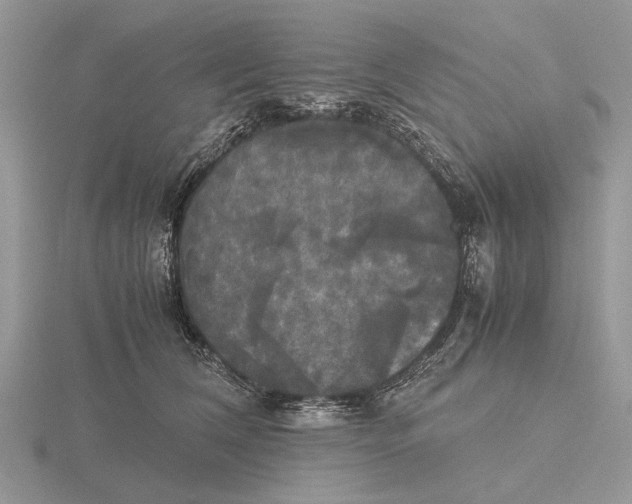 X0000115660612200912101053