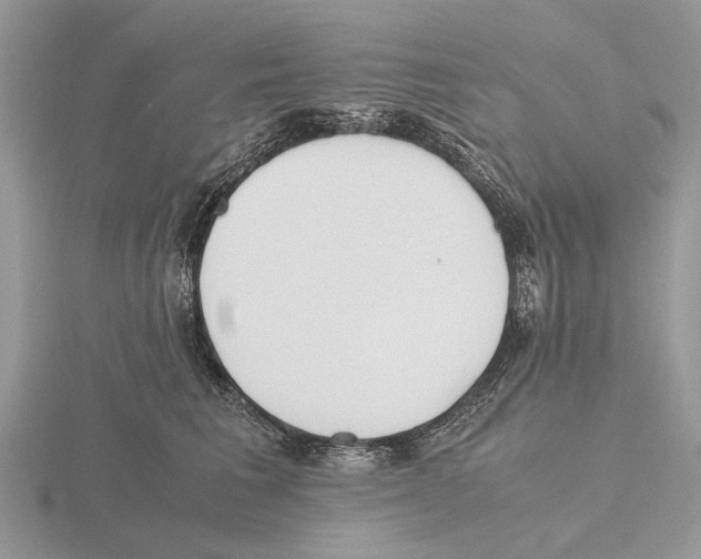 X0000115660613200912101053