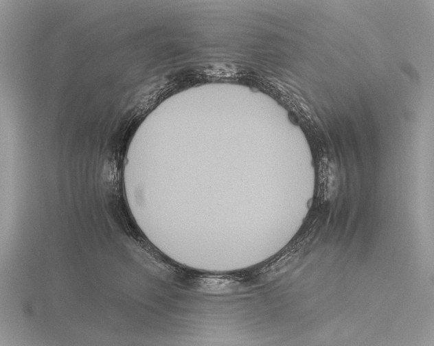 X0000115660614200912101053