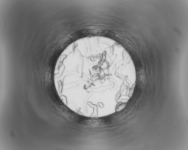 X0000115660615200912101053