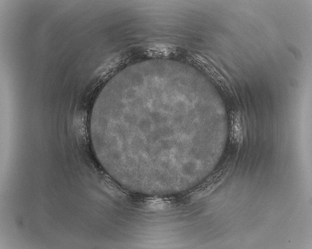 X0000115660616200912101053