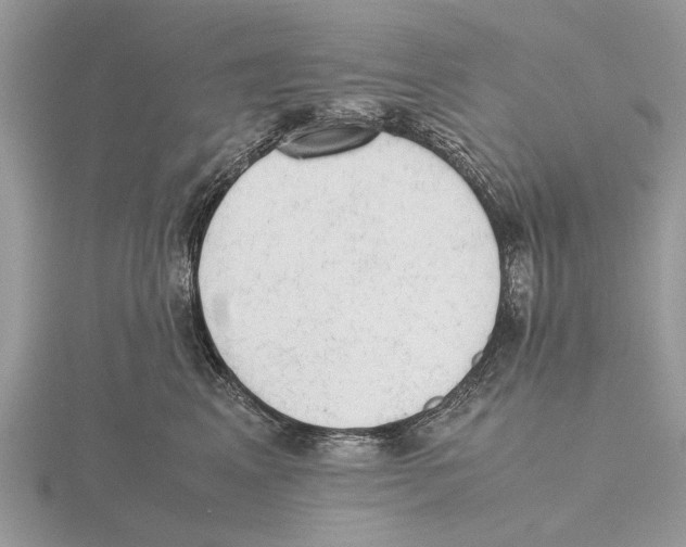 X0000115660617200912101053