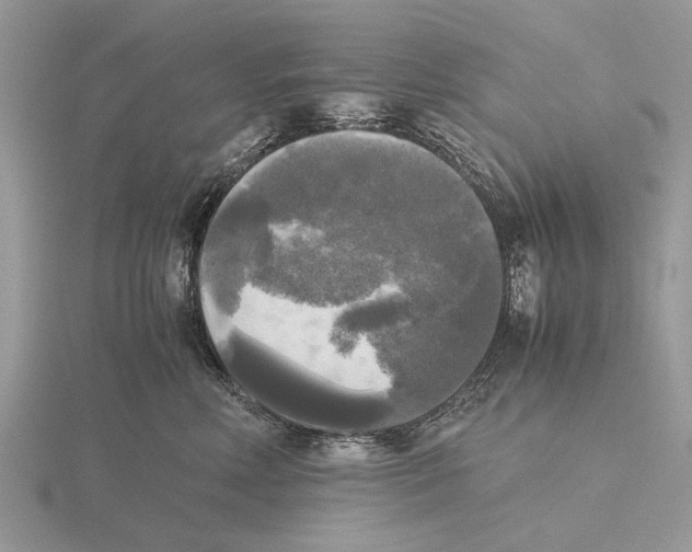 X0000115660618200912101053