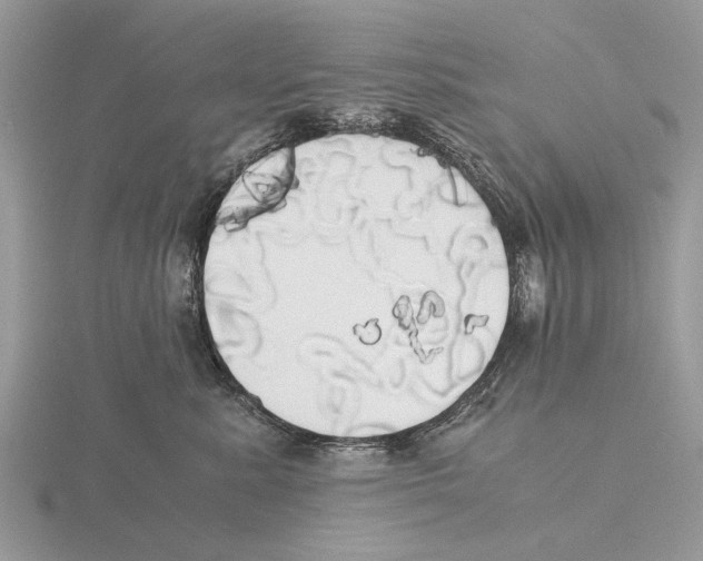 X0000115660619200912101053