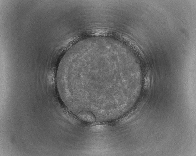 X0000115660620200912101053