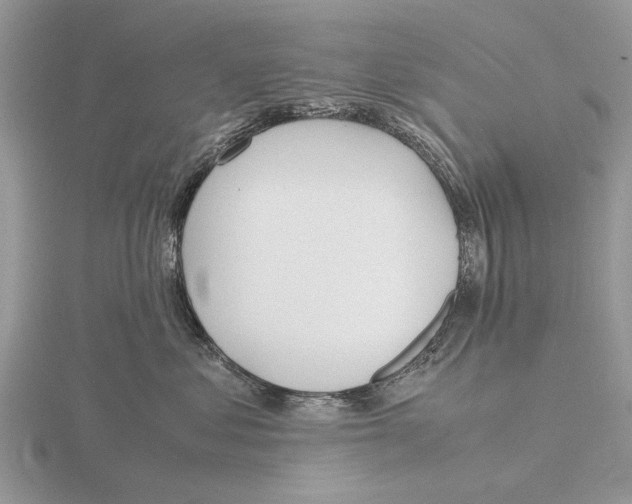 X0000115660621200912101053