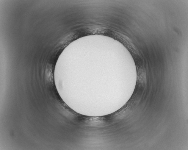 X0000115660622200912101053