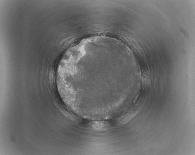 X0000115660623200912101053