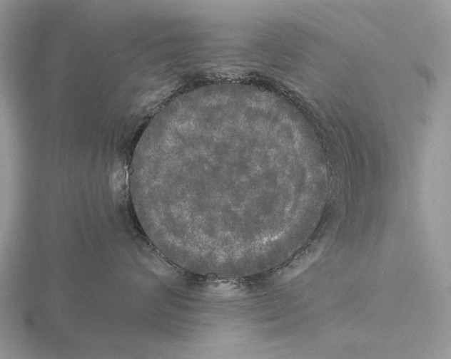 X0000115660624200912101053