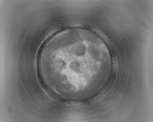 X0000115660626200912101052