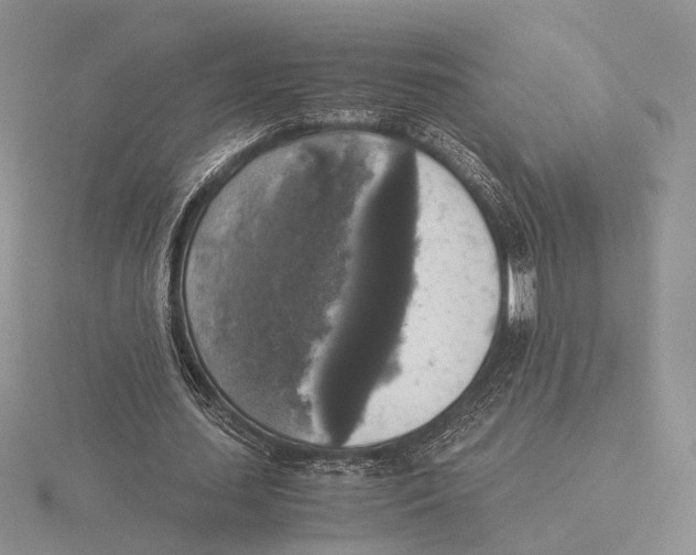 X0000115660627200912101052