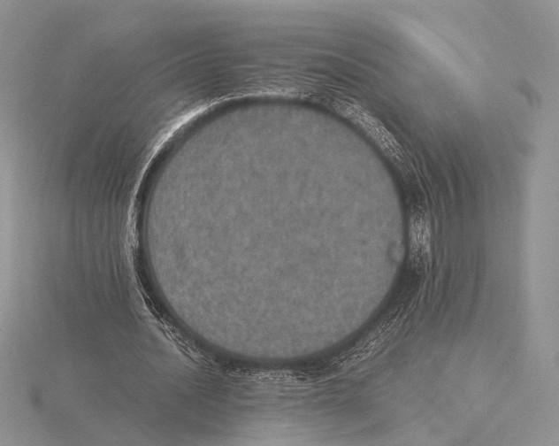 X0000115660628200912101052