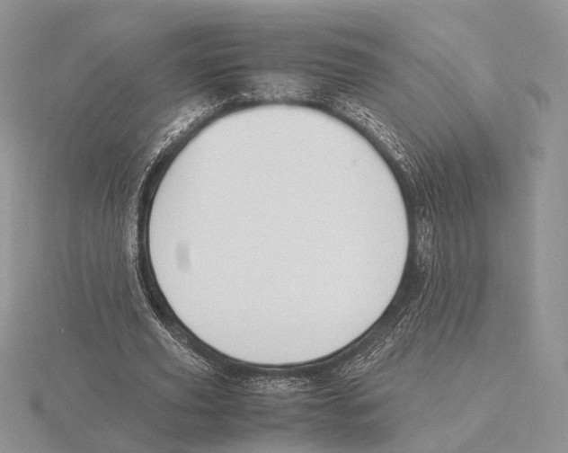 X0000115660629200912101052