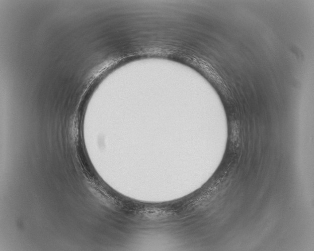 X0000115660632200912101052