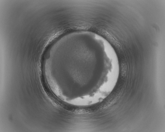 X0000115660634200912101052