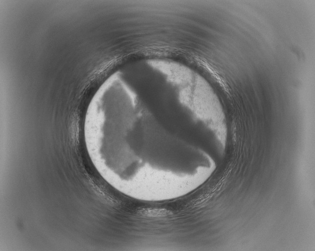 X0000115660637200912101052