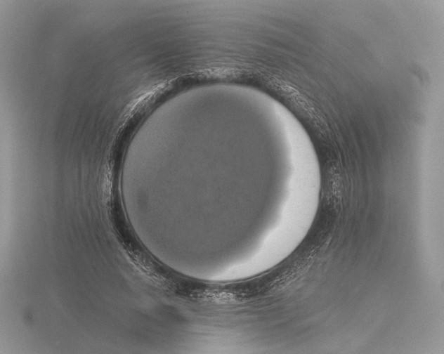 X0000115660640200912101052