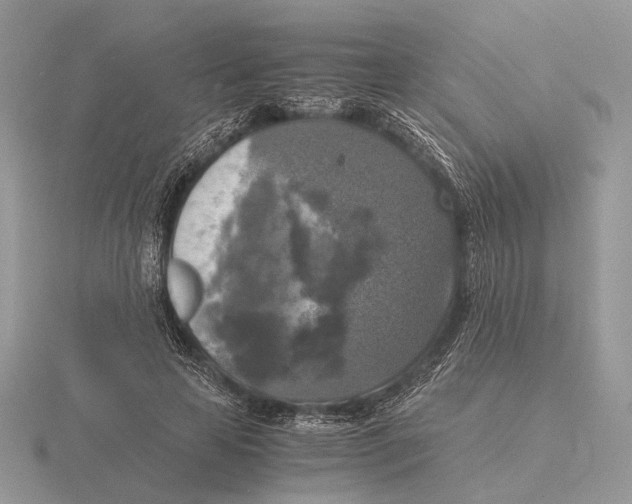 X0000115660641200912101052