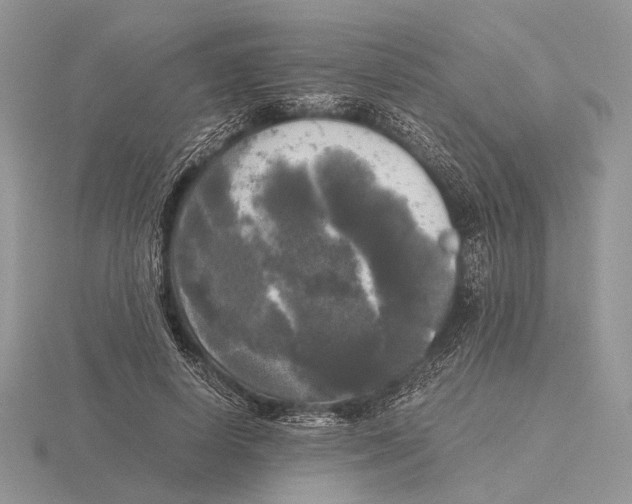 X0000115660642200912101052