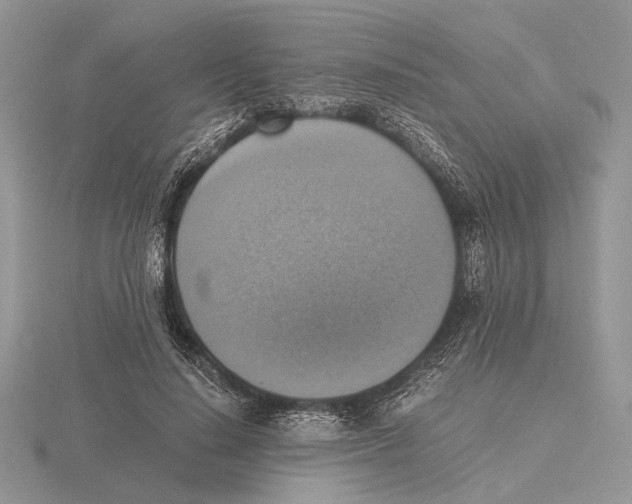 X0000115660644200912101052