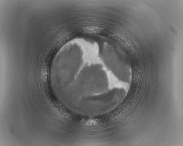 X0000115660647200912101052