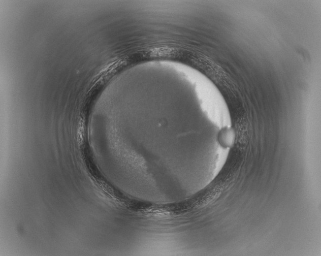 X0000115660648200912101052