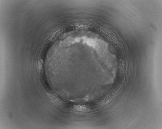 X0000115660649200912101052