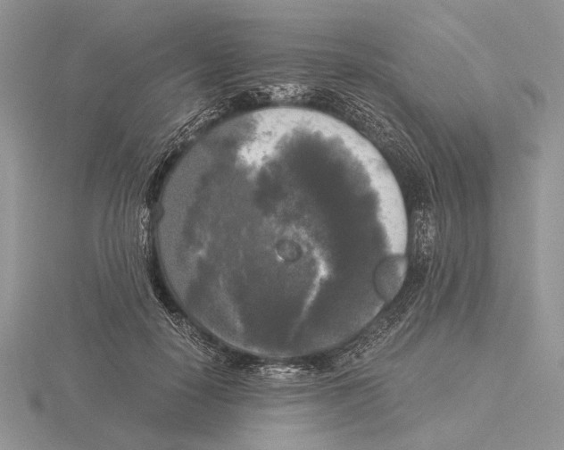 X0000115660650200912101052