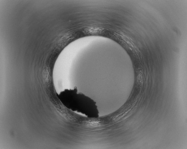 X0000115660651200912101052