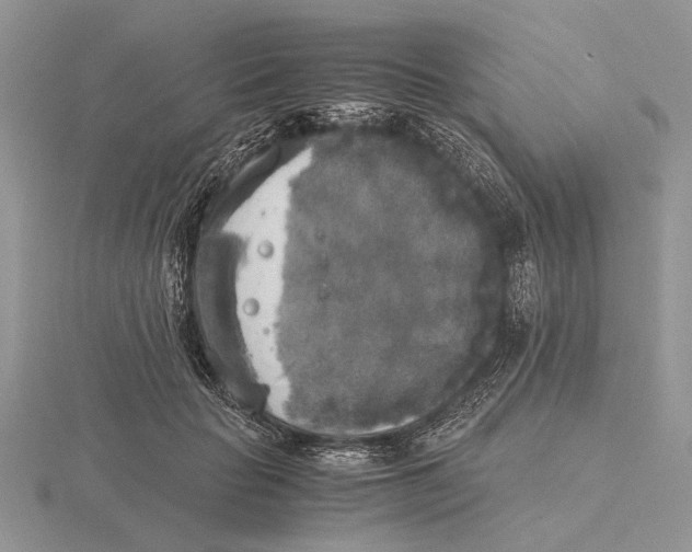 X0000115660653200912101052